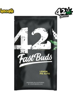 LEMON PIE AUTO X1Fast Buds