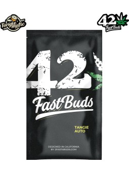 TANGIE MATIC AUTO X5 Fast Buds