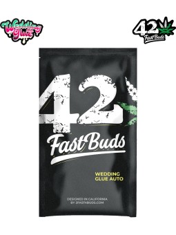 WEDDING GLUE AUTO X1 Fast Buds