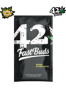 RHINO RYDER AUTO X3 Fast Buds