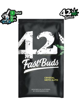 CRYSTAL METH AUTO X3 Fast Buds