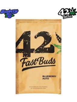 ORIGINAL BLUEBERRY AUTO X1...