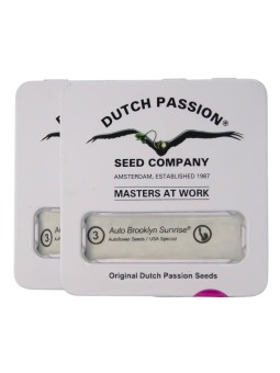 2X1 BROOKLYN SUNRISE AUTO...