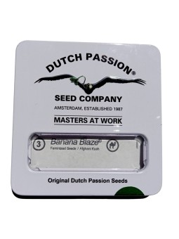 BANANA BLAZE FEM X3 Dutch...