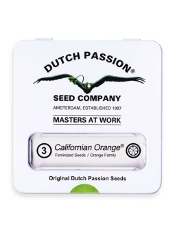 CALIFORNIA ORANGE FEM X3...