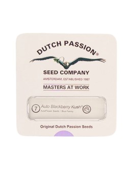 BLACKBERRY KUSH AUTO X7...