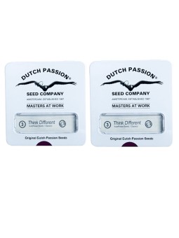 2X1 THINK DIFERENT AUTO X3...