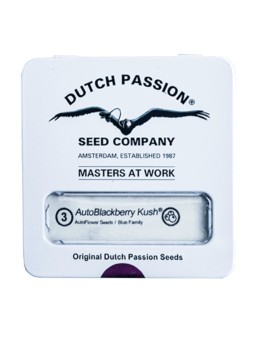 BLACKBERRY KUSH AUTO X3...