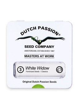 WHITE WIDOW FEM X3 Dutch...