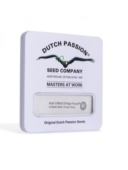 CRITICAL ORANGE PUNCH AUTO...