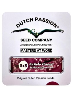 XTREME AUTO X3+3 Dutch Passion