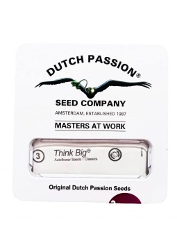 THINK BIG AUTO X3 Dutch...