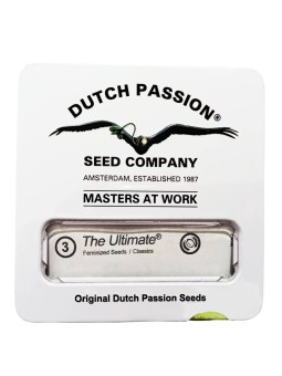 THE ULTIMATE FEM X3 Dutch...