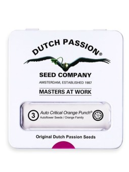 CRITICAL ORANGE PUNCH AUTO...