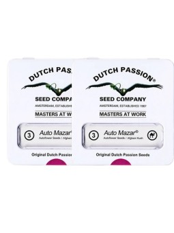 Mazar Auto X3 2x1 Dutch...