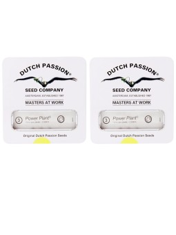 2X1 POWER PLANT FEM X3...