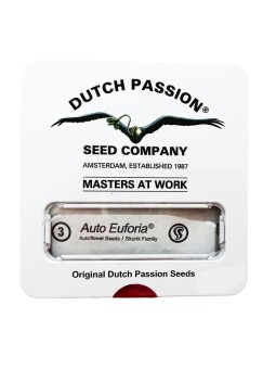 AUTOEUFORIA AUTO X3 Dutch...