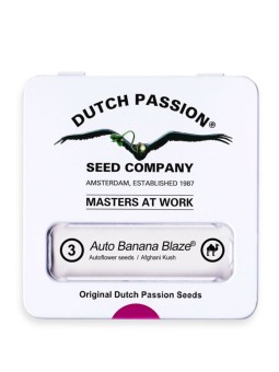 BANANA BLAZE AUTO X3 Dutch...