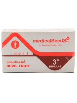DEVIL FRUIT X3 Medical Seeds