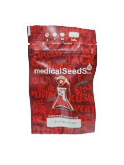 BANANA PURP X3 Medical Seeds