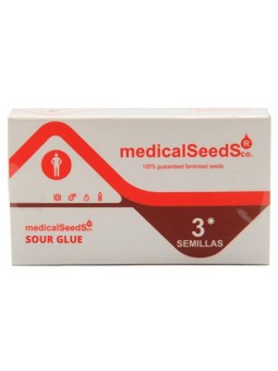 SOUR GLUE FEM X3 Medical Seeds