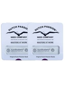 2X1 BLUEBERRY AUTO X3 Dutch...