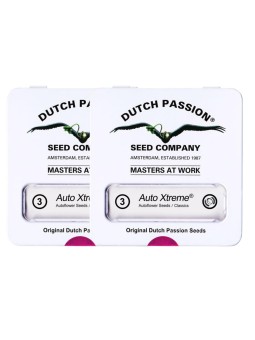 2X1 XTREME AUTO X3 Dutch...