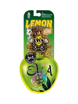 LEMON KING FEM X3+1