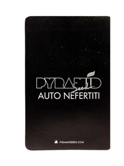 NEFERTITI AUTO 1UD Pyramid...