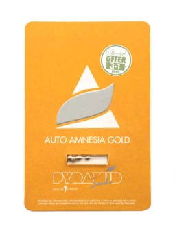 AMNESIA GOLD AUTO X3+1...