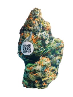 COJIN PILLOWEED EN VOLA