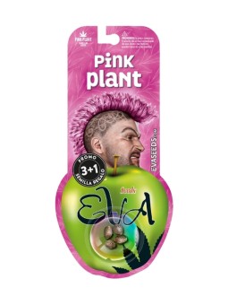 Pink Plant Fem X3+1Eva Seeds