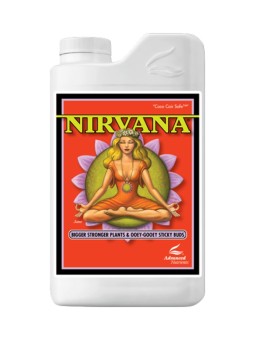 Nirvana 1 LT Advanced...