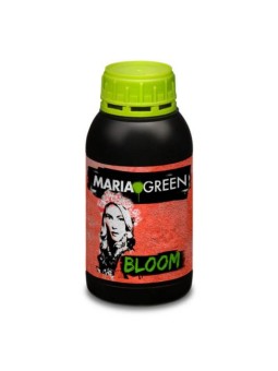 Bloom 500ml Maria Green