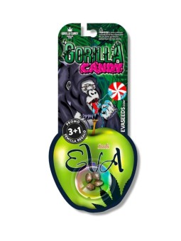 GORILLA CANDY FEM X3+1Eva...