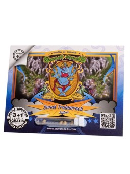 Sweet Trainwreck Auto X3+1...