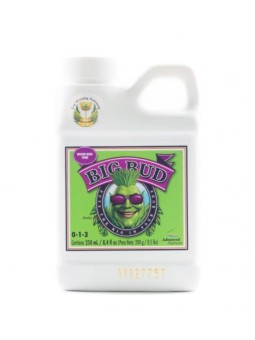 Big Bud 250Ml Advanced...