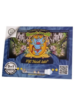 New York Diesel Auto X3+1...