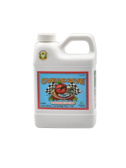Overdrive 250ML Advanced...