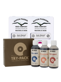 Pack Semillas Dutch Passion...