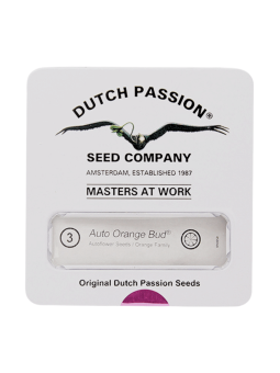 Orange Bud Auto Dutch...