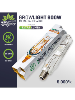 Ampolleta Haluro Metal 600W...