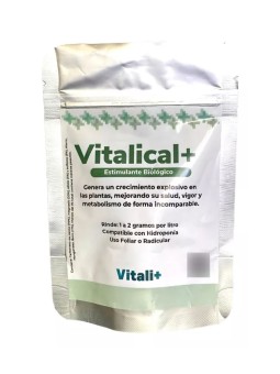 Vitalical 20 GR