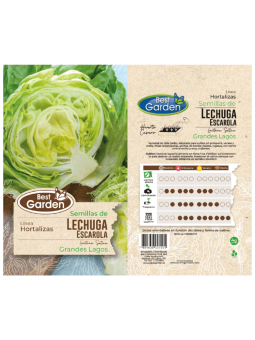 Semillas Lechuga Escarola...