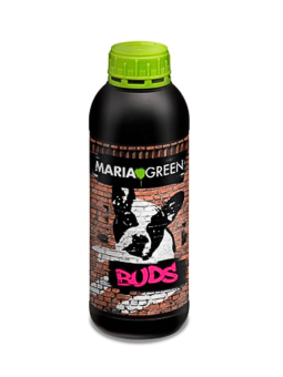 Buds 1L Maria Green