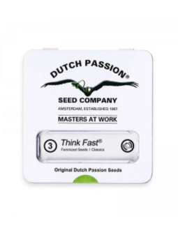 Think Fast Fem X3 2X1 Dutch...