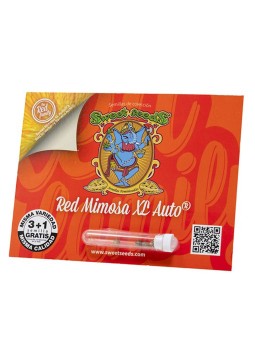 Red Mimosa XL Auto 3+1...