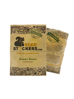 Candy Dawg Auto X3...