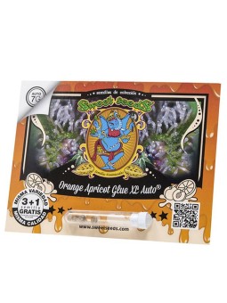 Orange Apricot Glue XL Auto...