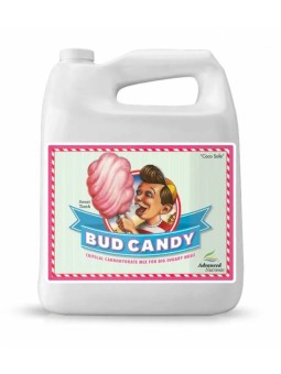 Bud Candy 5LT Advanced...
